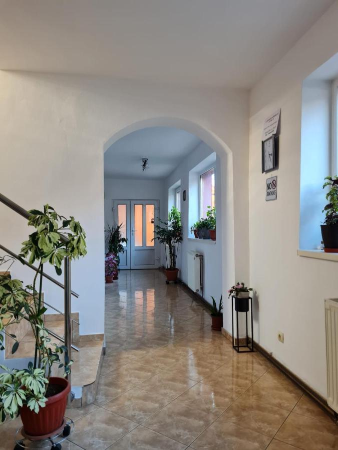 Vila Vladut Zarnesti Exterior photo