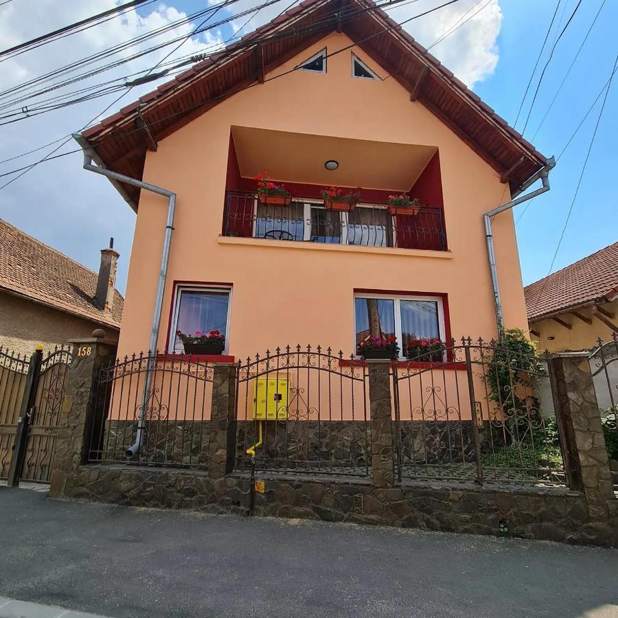 Vila Vladut Zarnesti Exterior photo