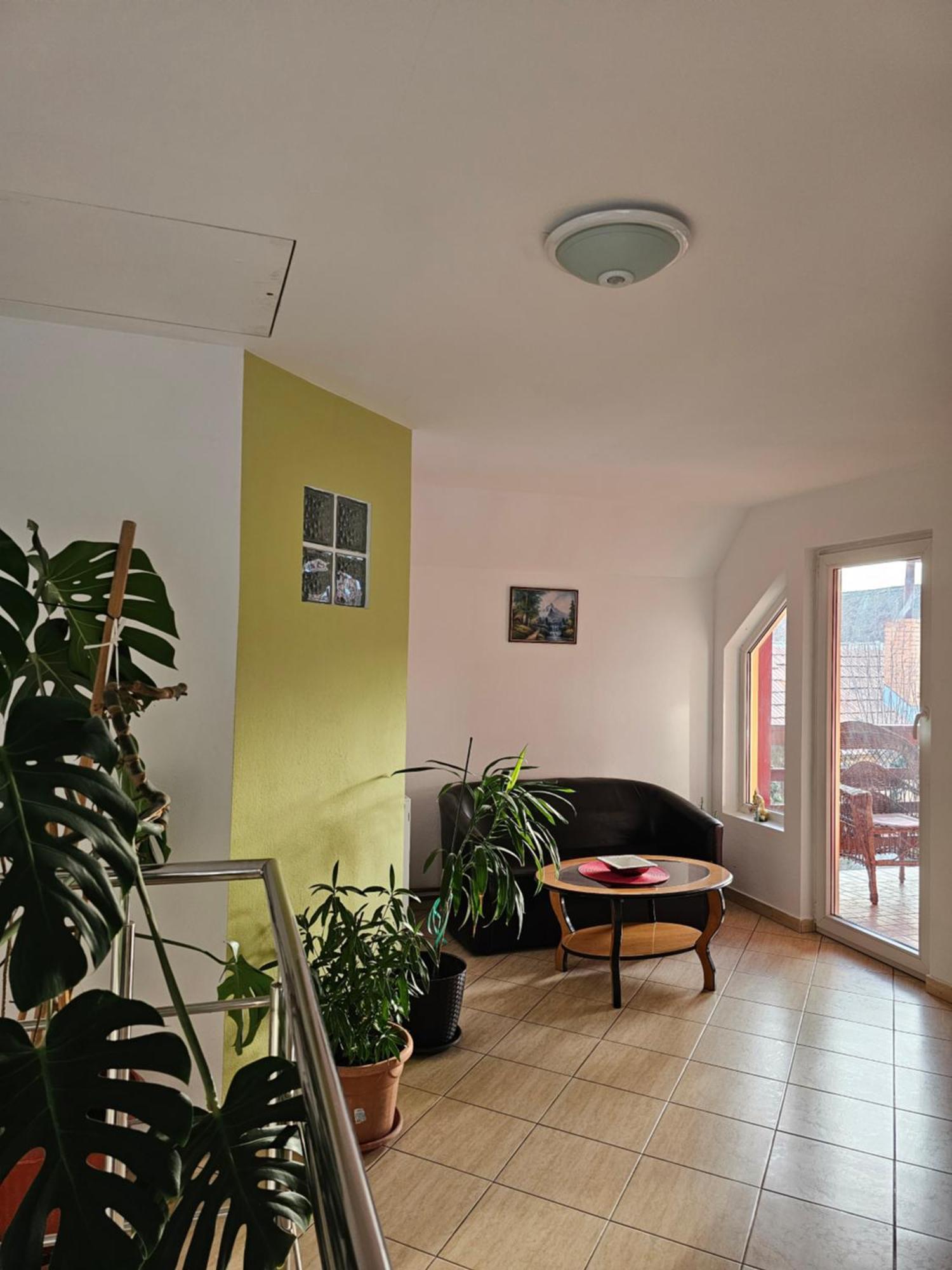 Vila Vladut Zarnesti Exterior photo
